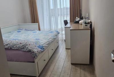 Apartament cu 3 camere decomandat în Lazaret - 4