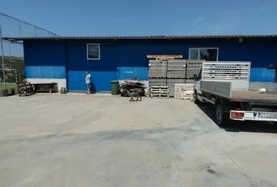 Spațiu comercial, de 500 mp, în Iancu Jianu - 2