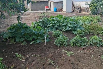 Casă cu 2 camere în Exterior Vest
