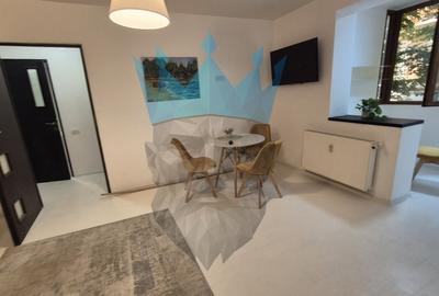 Apartament cu 2 camere decomandat, mobilat în Gara de Nord - 5