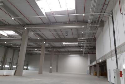 Spațiu industrial, de 2,000 mp, în Dragomirești-Vale - 6