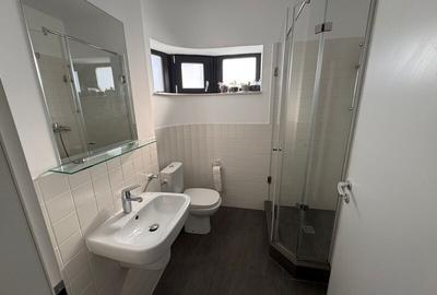 Apartament cu 3 camere decomandat, mobilat în Tineretului - 11