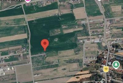 Teren de 9300 mp, în Pruni - 3