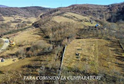 Teren Construcții intravilan de 8630 mp, în Est - 6