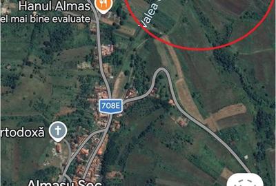 Teren de 4000 mp, în Cârjiți - 2