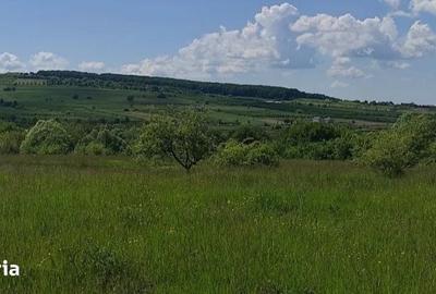 Teren de 6400 mp, în Ileanda