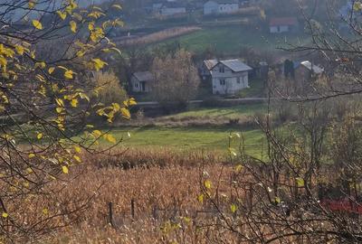 Teren de 1400 mp, în Central - 1