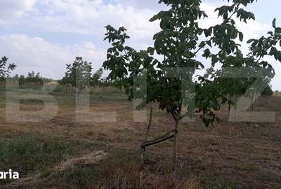 Teren de 405000 mp, în Ivești - 16