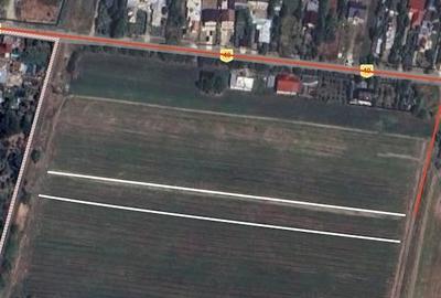 Teren de 4937 mp, în Satu Nou (Lipănești) - 3