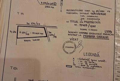 Teren de 45500 mp, în Cogealac - 2