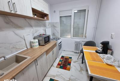 Apartament cu 2 camere semidecomandat în Ozana