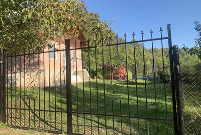 Casă cu 3 camere cu Teren 3000 Mp în Central