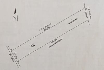 Teren Construcții intravilan de 6000 mp, în Domnești