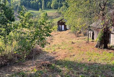 Teren de 1522 mp, în Ceahlău