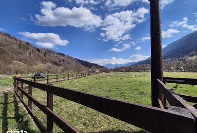Teren de 2500 mp, în Plaiul Foii - 2