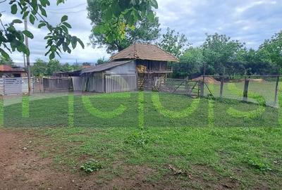 Casă individuală cu 3 camere cu Canalizare în Beuca - 8