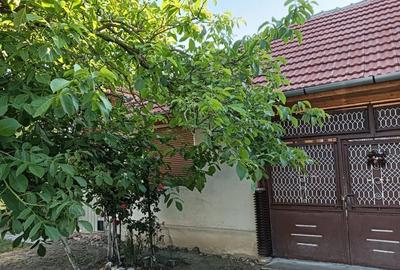 Casă cu 4 camere în Berindia