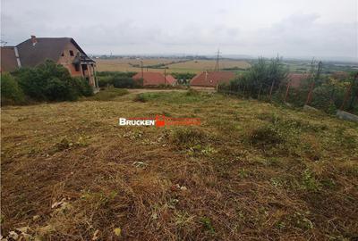 Teren de 1236 mp, în Petreu - 3