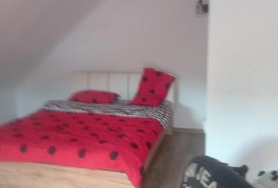 Casă cu 4 camere cu Teren 1000 Mp în Răucești - 6