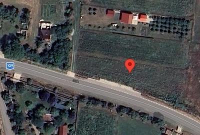 Teren de 1484 mp, în Borșa