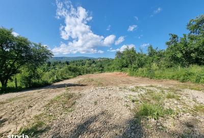 Teren de 1600 mp, în Pucheni - 6