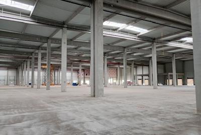 Spațiu industrial, de 22,000 mp, în Aradul Nou