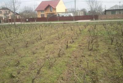 Teren intravilan de 3500 mp, în Chiscani