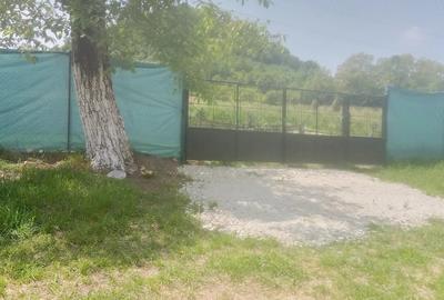 Casă cu Teren 1450 Mp în Căraci - 2