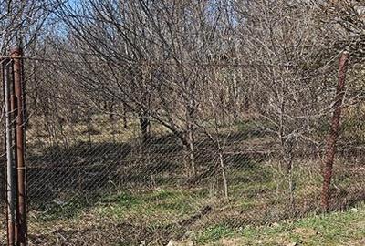 Teren Construcții intravilan de 2955 mp, în Mehedința - 3