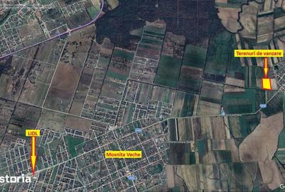 Teren de 540 mp, în Bucovăț - 3