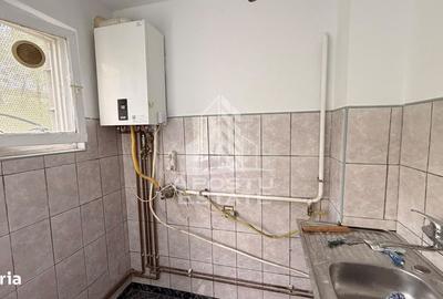 Apartament cu 3 camere în Șagului