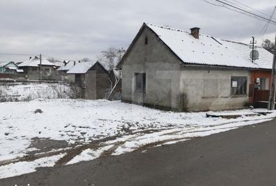 Casă cu 2 camere în Uriu