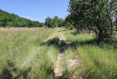 Teren de 1357 mp, în Pietroșani - 1