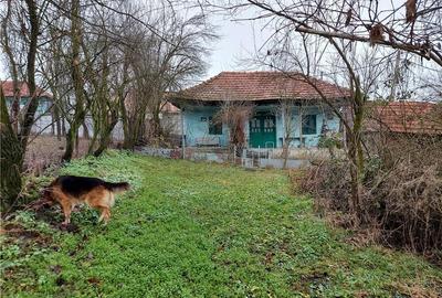 Casă în Central - 5
