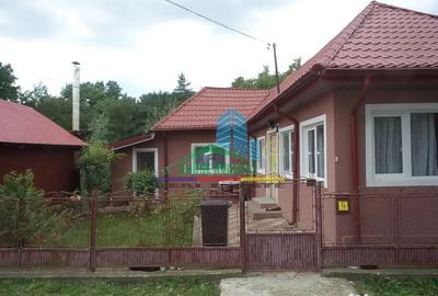Casă cu 4 camere cu Teren 449 Mp în Rucăreni