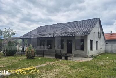 Casă cu 3 camere cu Teren 2918 Mp în Doba - 8