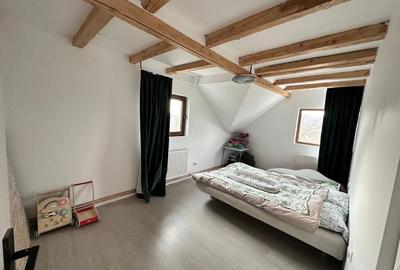 Casă cu 4 camere cu Teren 3000 Mp în Făget - 1