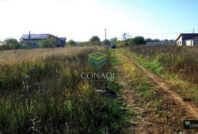 Teren Construcții extravilan de 18969 mp, în Ciofliceni