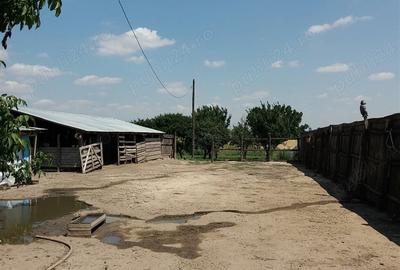 Casă cu 2 camere cu Teren 4700 Mp în Băilești