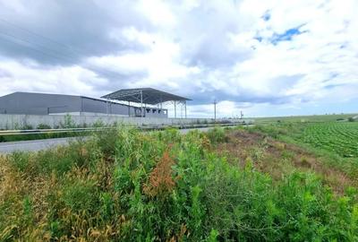 Teren de 4000 mp, în Ovidiu - 5