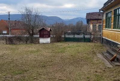 Casă cu Teren 6400 Mp în Petriș - 2