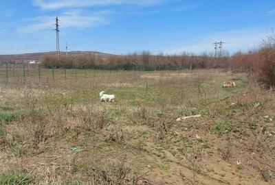 Teren în Valea Călugărească - 4