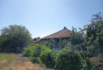 Casă cu 6 camere cu Teren 1600 Mp în Grindu - 2