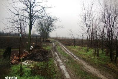 Teren de 2306 mp, în Cocorăștii Mislii