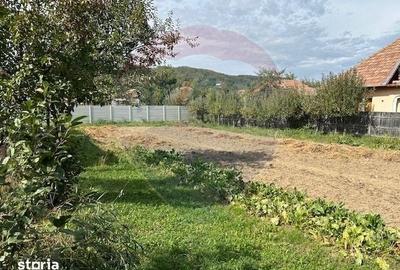 Teren de 676 mp, în Măneciu - 3
