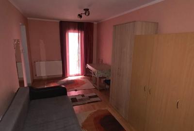 Garsonieră semidecomandată în Satu Nou de Sus - 2