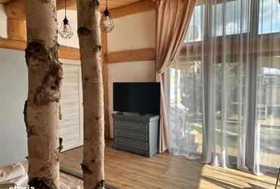 Spațiu comercial, de 25,000 mp, în Hărman - 12