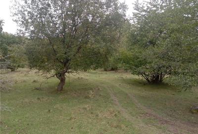 Teren de 16800 mp, în Central - 7