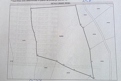 Spațiu comercial, în Prundu Bârgăului