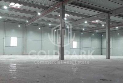 Spațiu industrial, de 6,000 mp, în Florești - 2